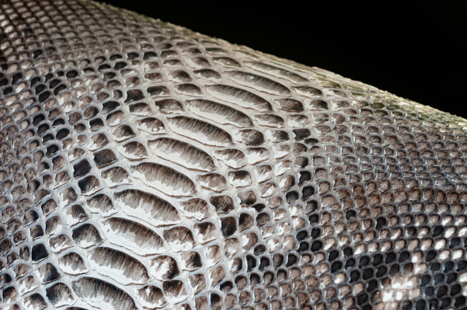 Achmad Leather craftsmanship